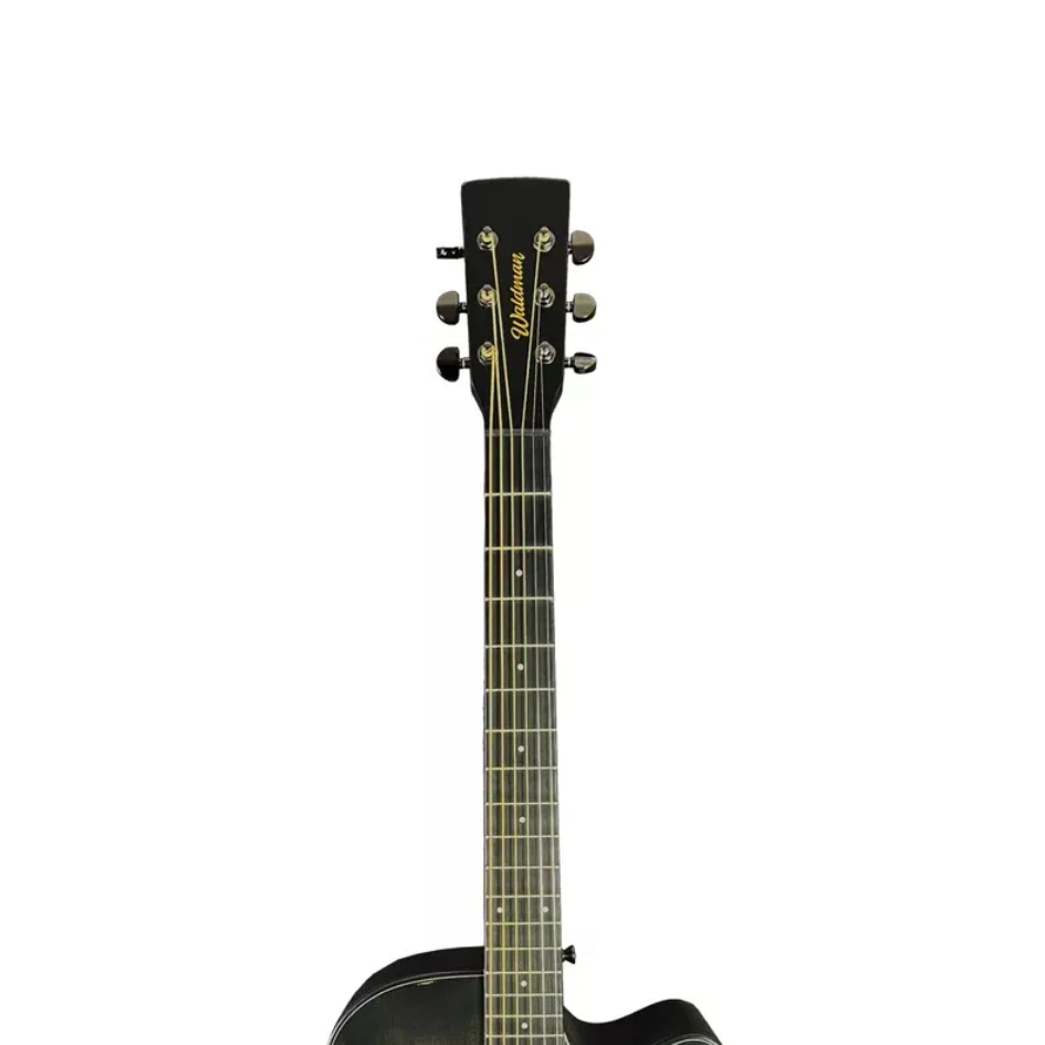 VIOLAO WALDMAN GCFX-1441 BK C/BAG