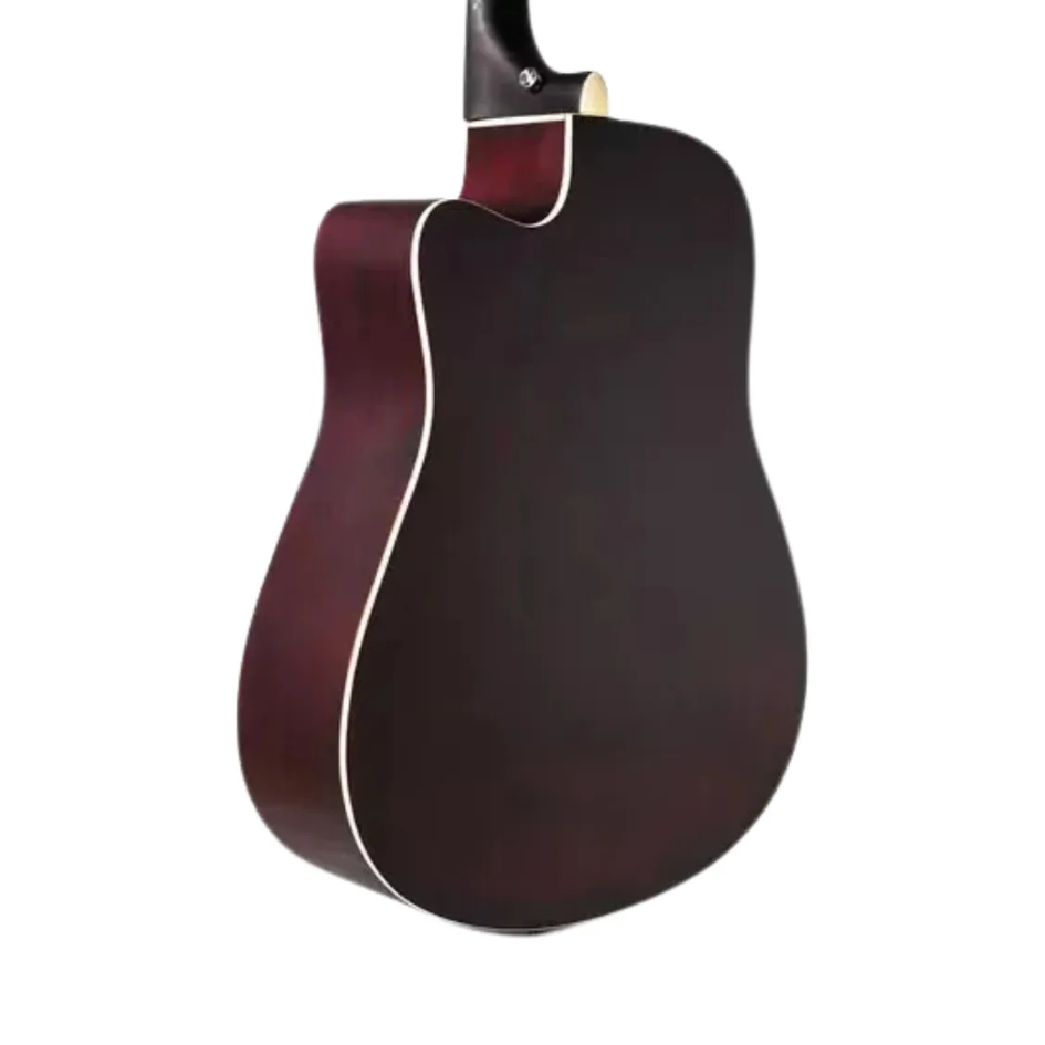 VIOLAO WALDMAN DCE-41 BRB