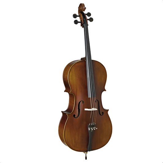 VIOLONCELO EAGLE CE310