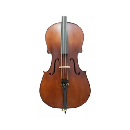 VIOLONCELO EAGLE CE300