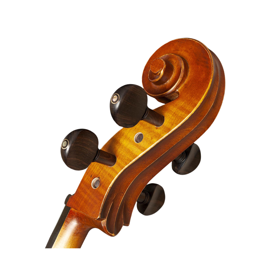 VIOLONCELO EAGLE CE310