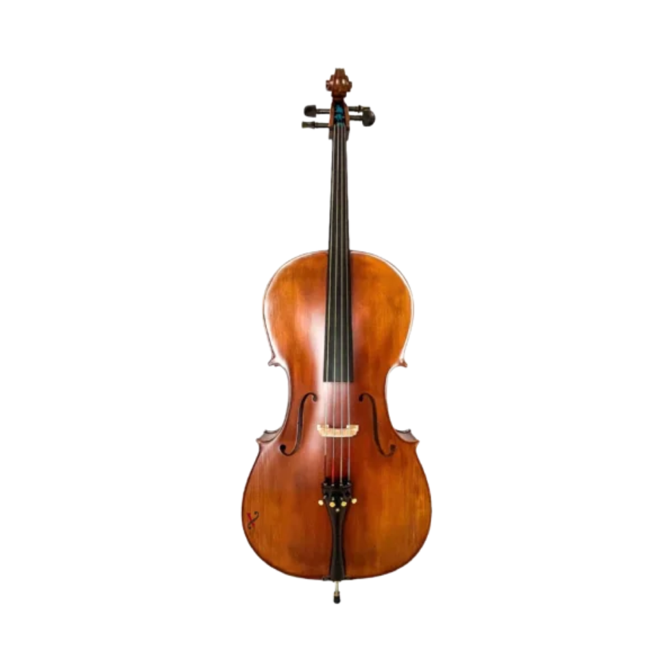 VIOLONCELO EAGLE CE310