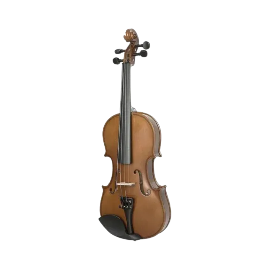 Violino Vogga Von144n Profissional Completo 4/4 Tampo Spruce