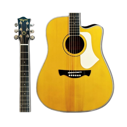 VIOLAO ELETRICO TAGIMA ANDES AGATHIS NTABS