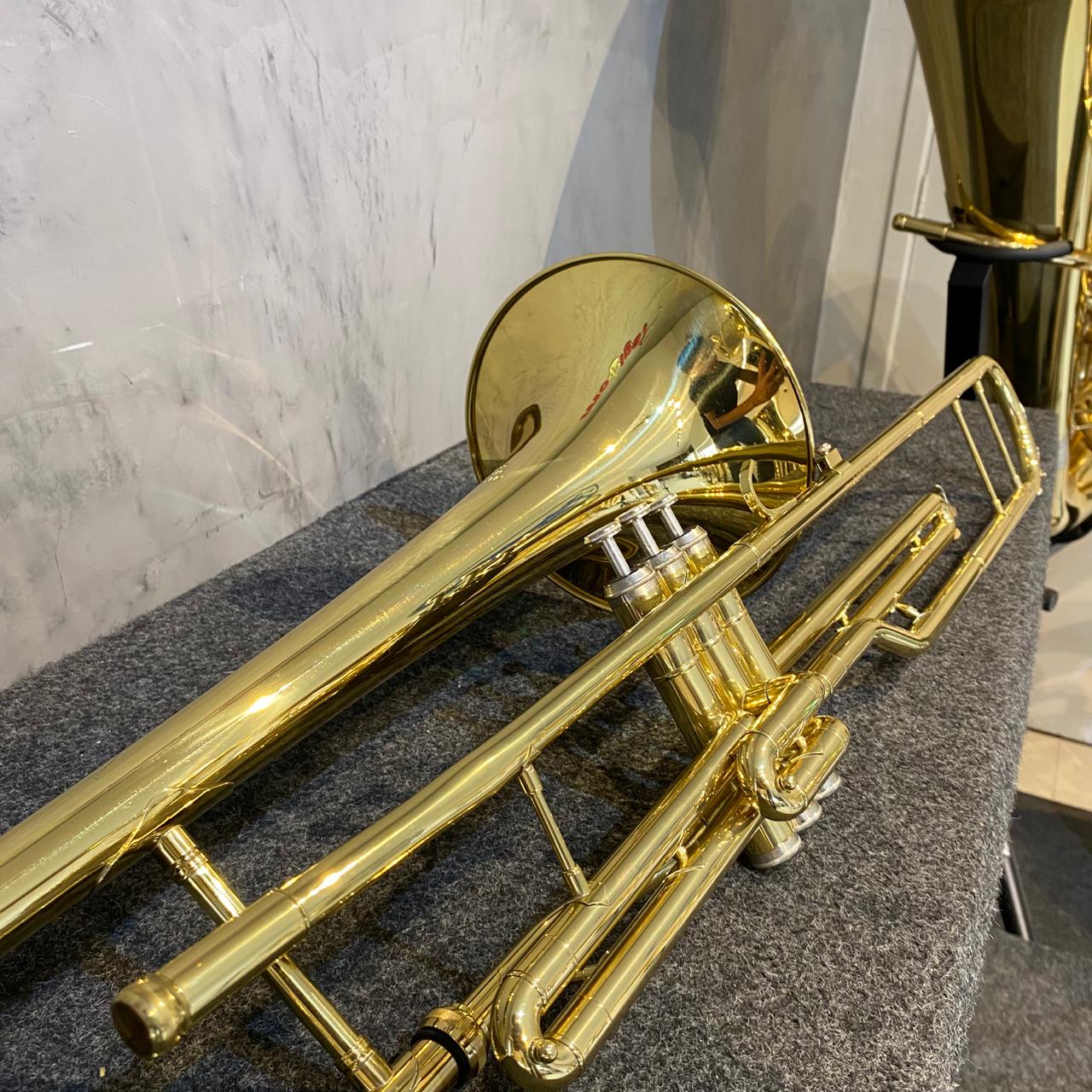 Trombone Pisto Longo Michael Sib - Usado