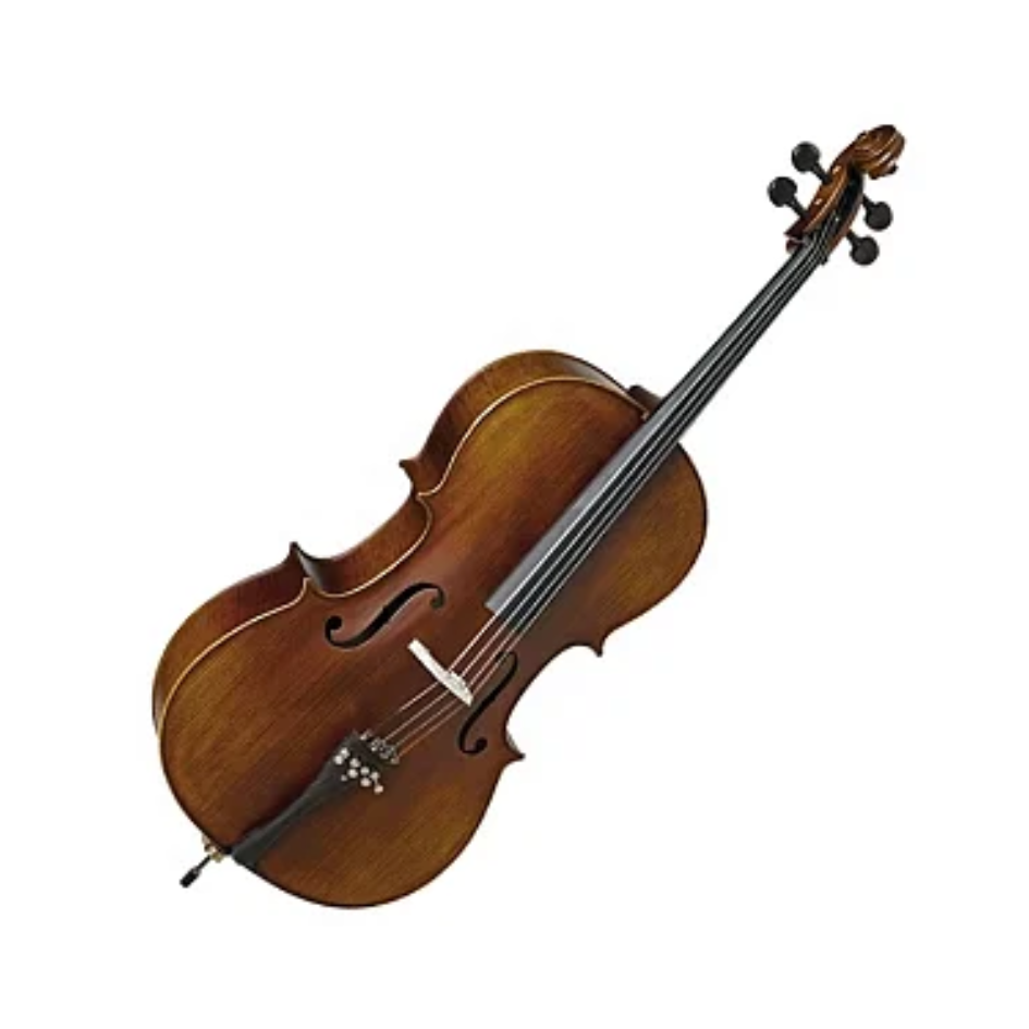 VIOLONCELO EAGLE CE310