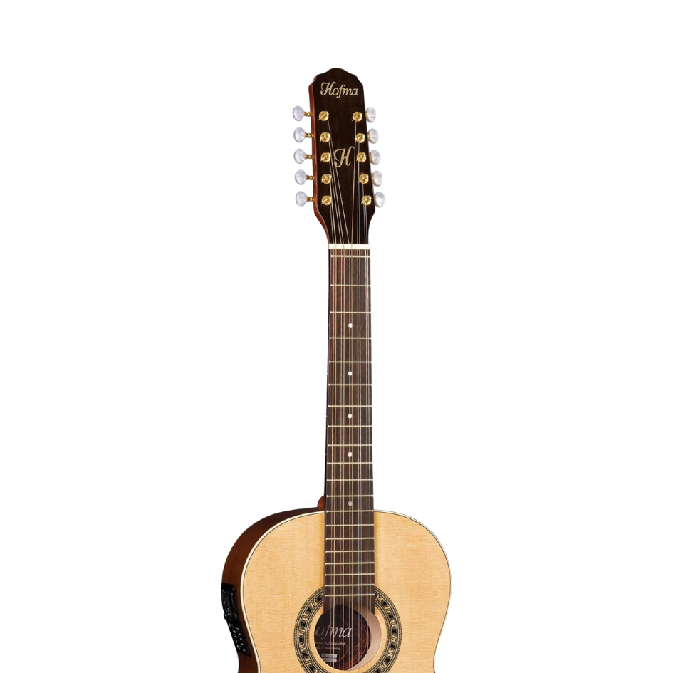 VIOLA BRASILEIRA HBG360 NT