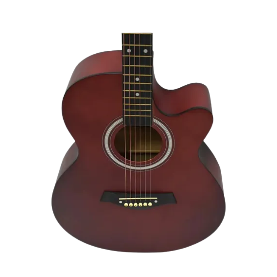 VIOLAO WALDMAN FCE-40 BRB