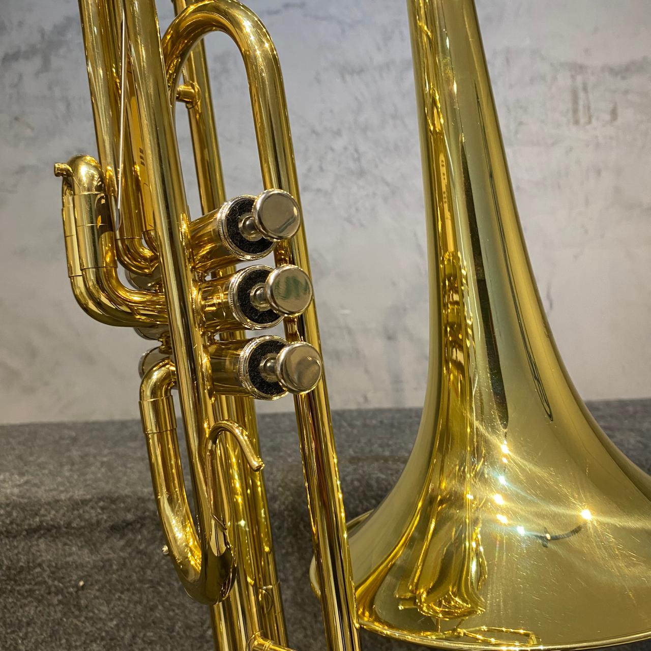 Trombone de Pisto Schieffer  - Novo