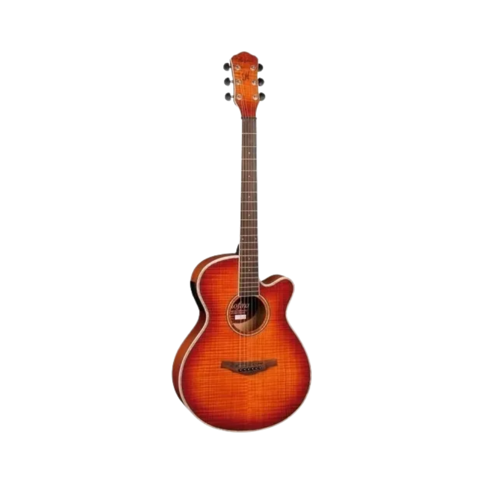 VIOLAO ELETRICO HOFMA HM236