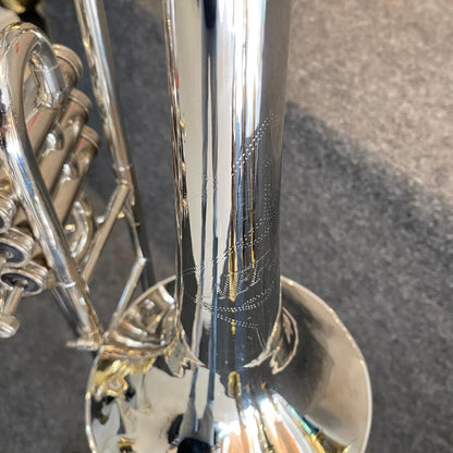 Trombone de Pisto Weril - Usado
