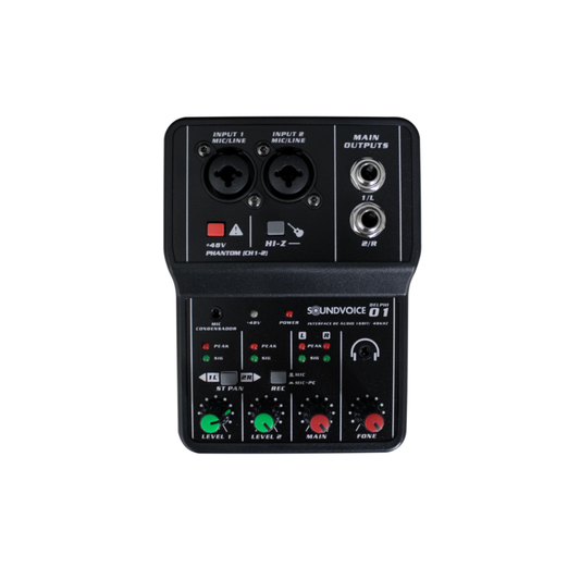 INTERFACE DE AUDIO SOUNDVOICE DELPHI 01