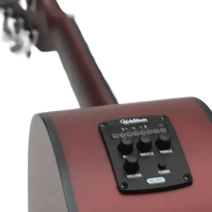 VIOLAO WALDMAN FCE-40 BRB