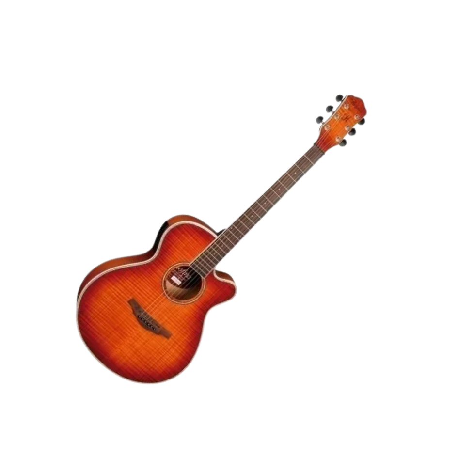 VIOLAO ELETRICO HOFMA HM236