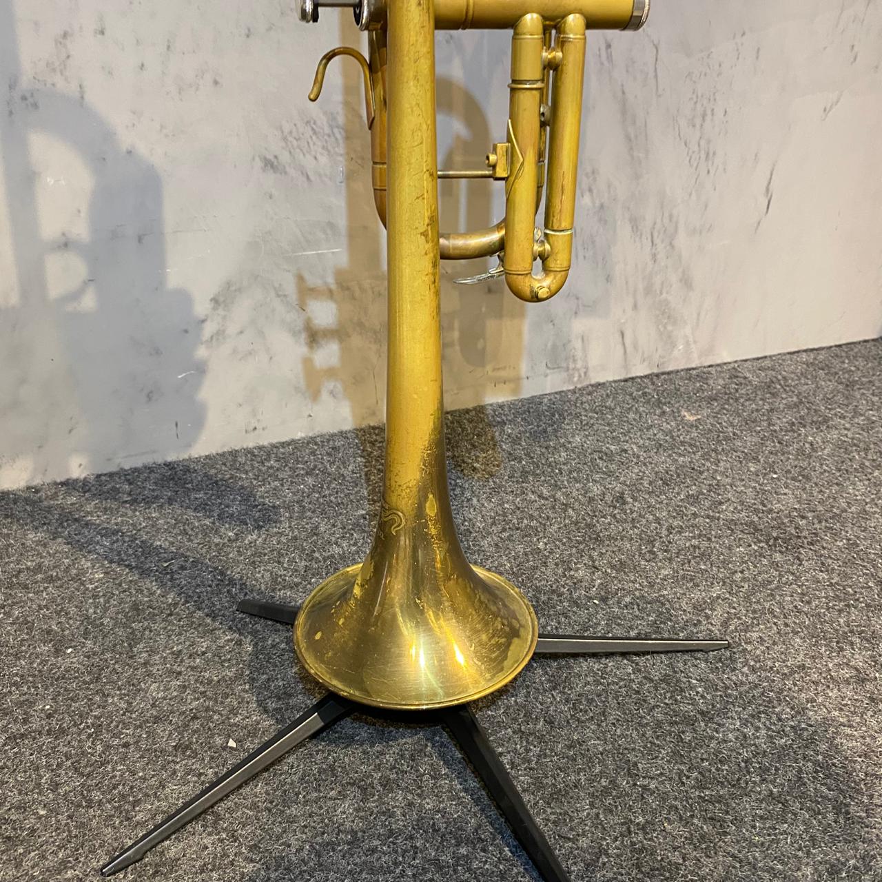 Trompete Quasar Laqueado  – Outlet