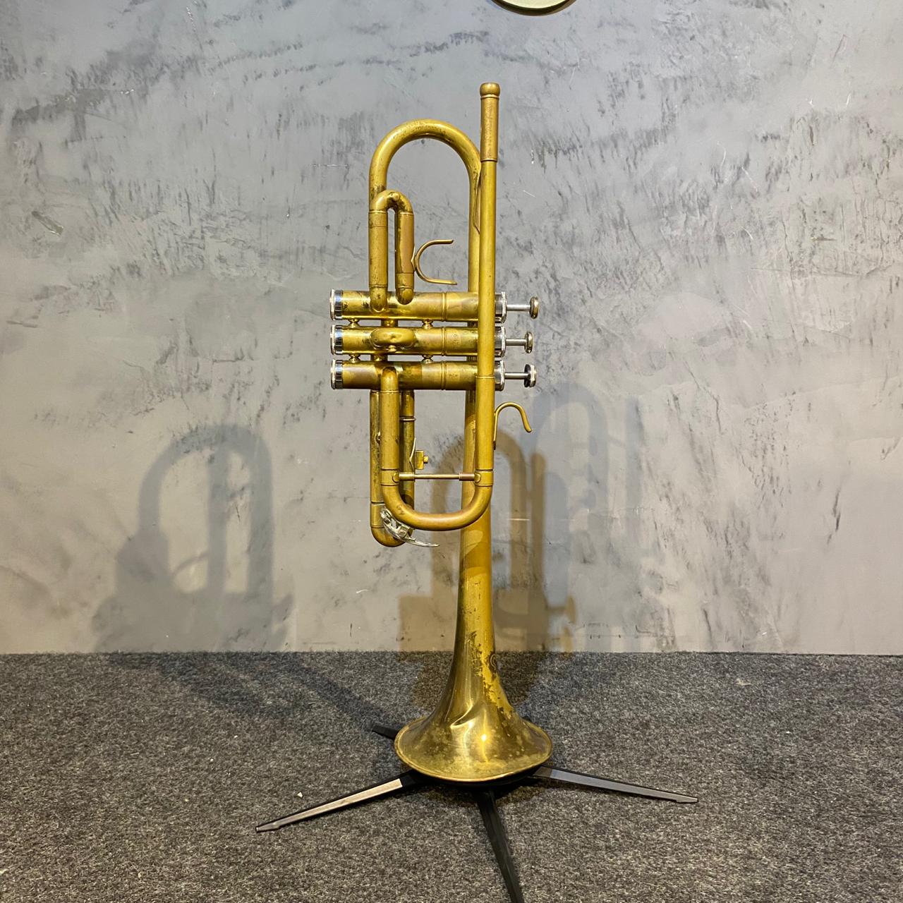 Trompete Quasar Laqueado  – Outlet