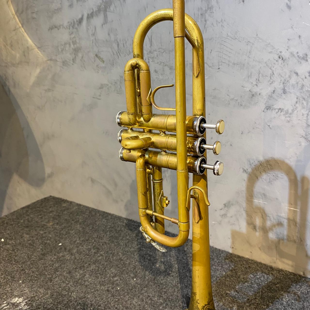 Trompete Quasar Laqueado  – Outlet