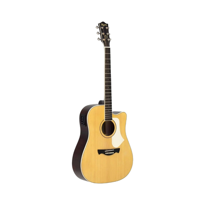 VIOLAO ELETRICO TAGIMA ANDES AGATHIS NTABS