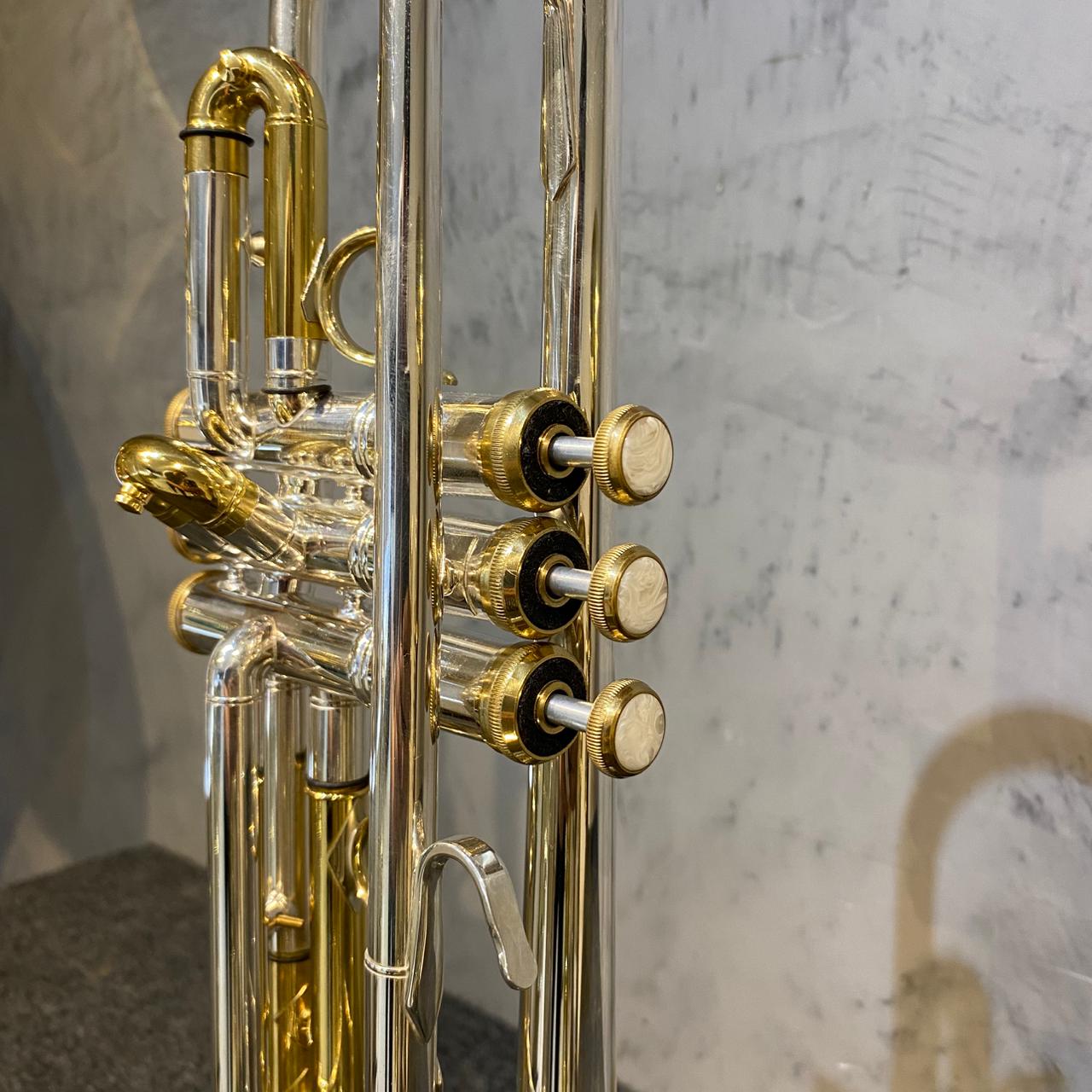 Trompete Tokai TR-400PG Sib (Bb) – Prata c/ Dourado – Vitrine