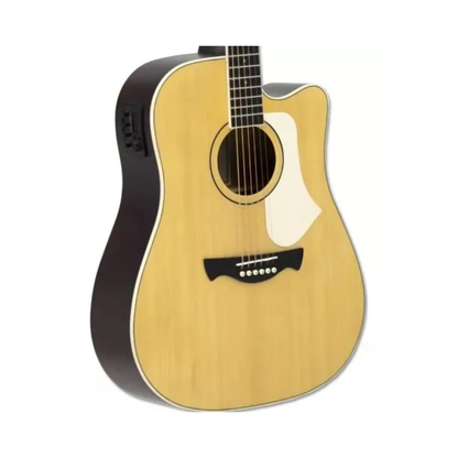 VIOLAO ELETRICO TAGIMA ANDES AGATHIS NTABS