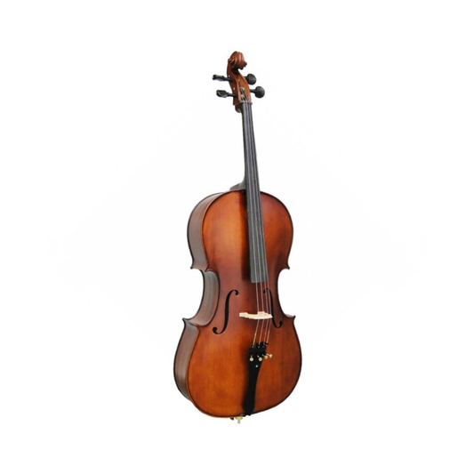 VIOLONCELO EAGLE CE300
