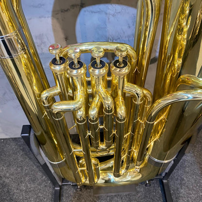 Tuba Schieffer Laqueada - Nova