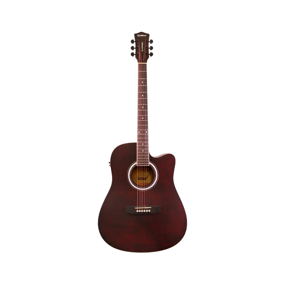 VIOLAO WALDMAN DCE-41 BRB