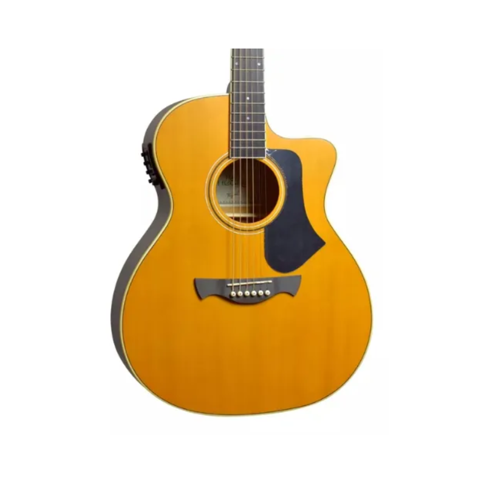 VIOLAO ELET TAGIMA RIO NEGRO NTABS